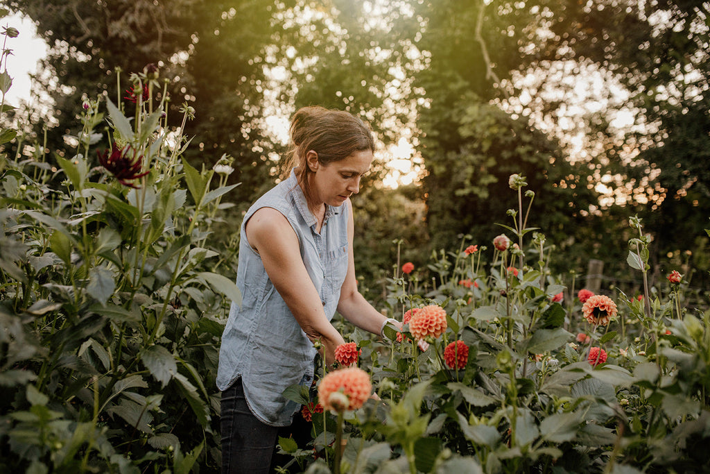 Garden Volunteers!